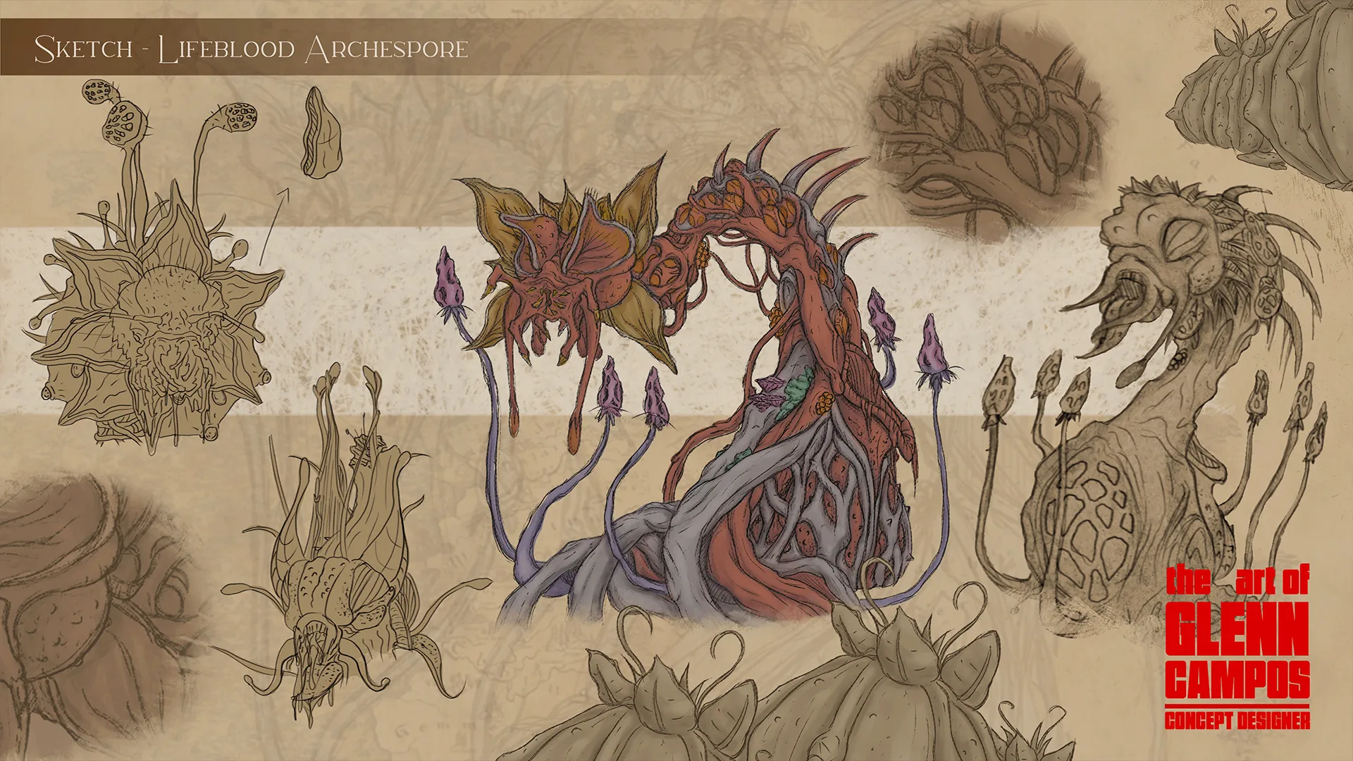 The Witcher Archespore sketches
